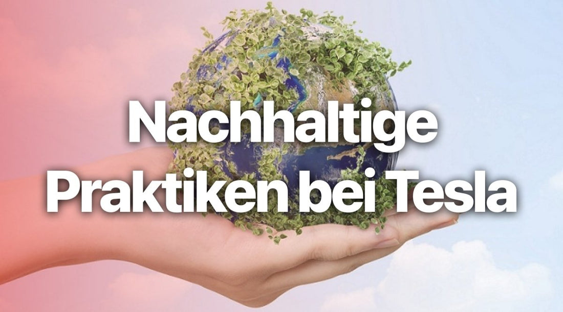 Nachhaltige Praktiken bei Tesla: Eine Untersuchung der Umweltauswirkungen