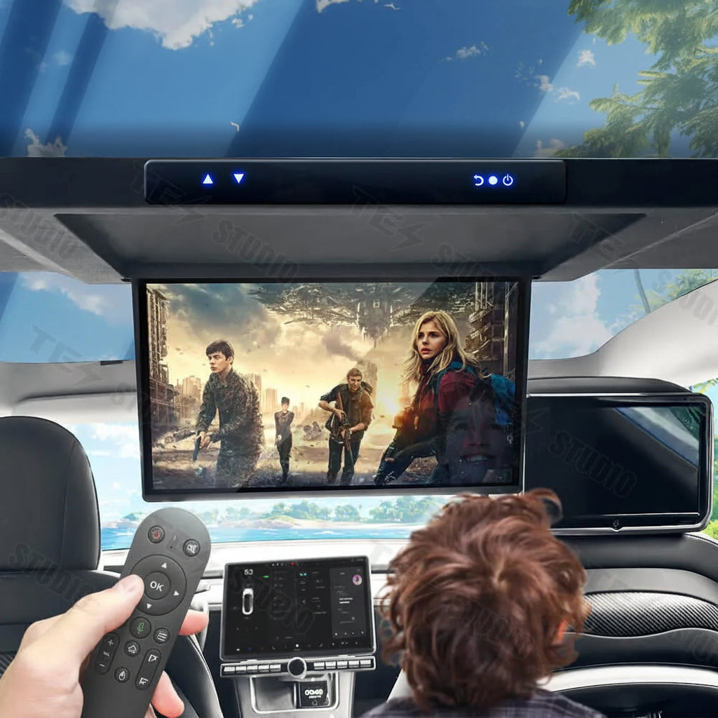 Tesstudio 17.3" Zoll Autodach Full HD Display TV mit Wi-Fi für Tesla Model Y bei EV Motion Shop