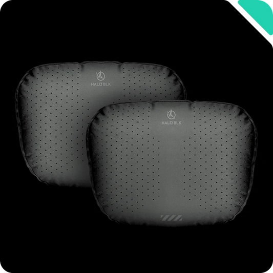 HALOBLK Kopfstütze (2er Set) für Tesla Model S / 3 / X / Y bei EV Motion Shop