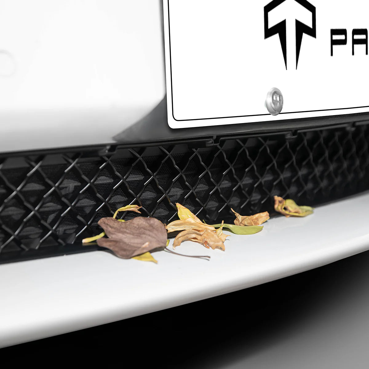 TPARTS Frontgrill Mesh Kühlerabdeckung Schutz für Tesla Model 3 / Y bei EV Motion Shop