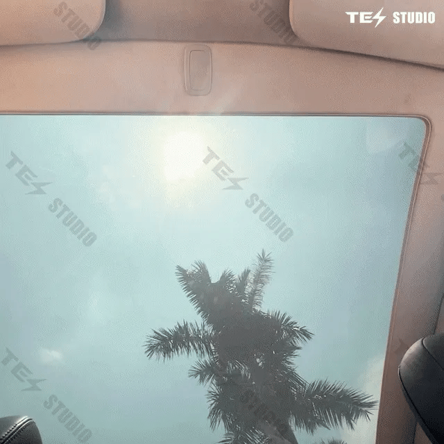 Tesstudio Elektrisch einziehbarer Sonnenschutz für Tesla Model Y bei EV Motion Shop